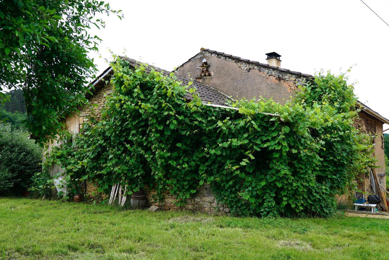 La Prairie Villa Siorac-en-Périgord Exterior photo